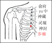 神封穴位位置图 神封穴的功效作用丨一点就通，点穴治病、针灸治病、按摩治病、1d9t.cn