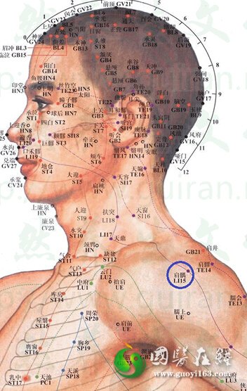 肩髃穴位位置图 肩髃穴的功效作用丨一点就通，点穴治病、针灸治病、按摩治病、1d9t.cn